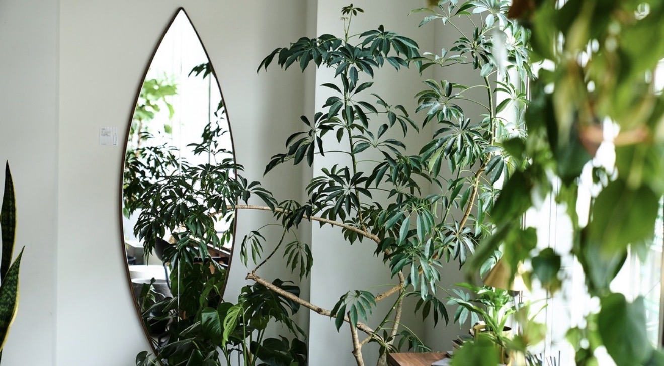 A Pause in the Footgolf メインビジュアル